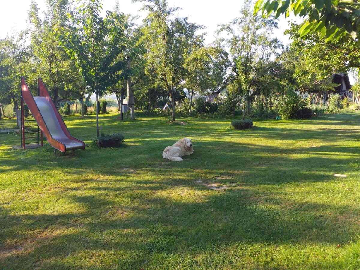 Camping Lukac Кутина Экстерьер фото