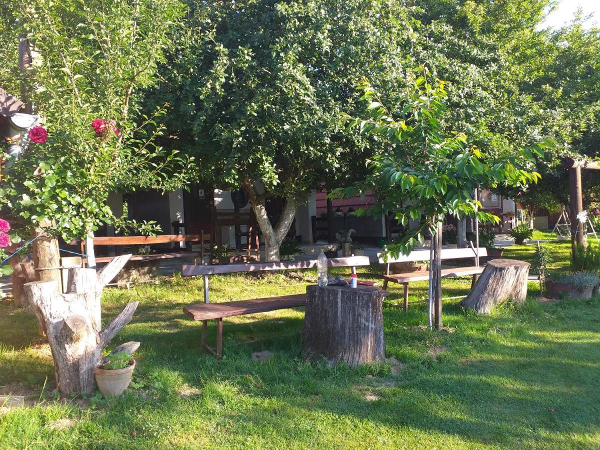 Camping Lukac Кутина Экстерьер фото