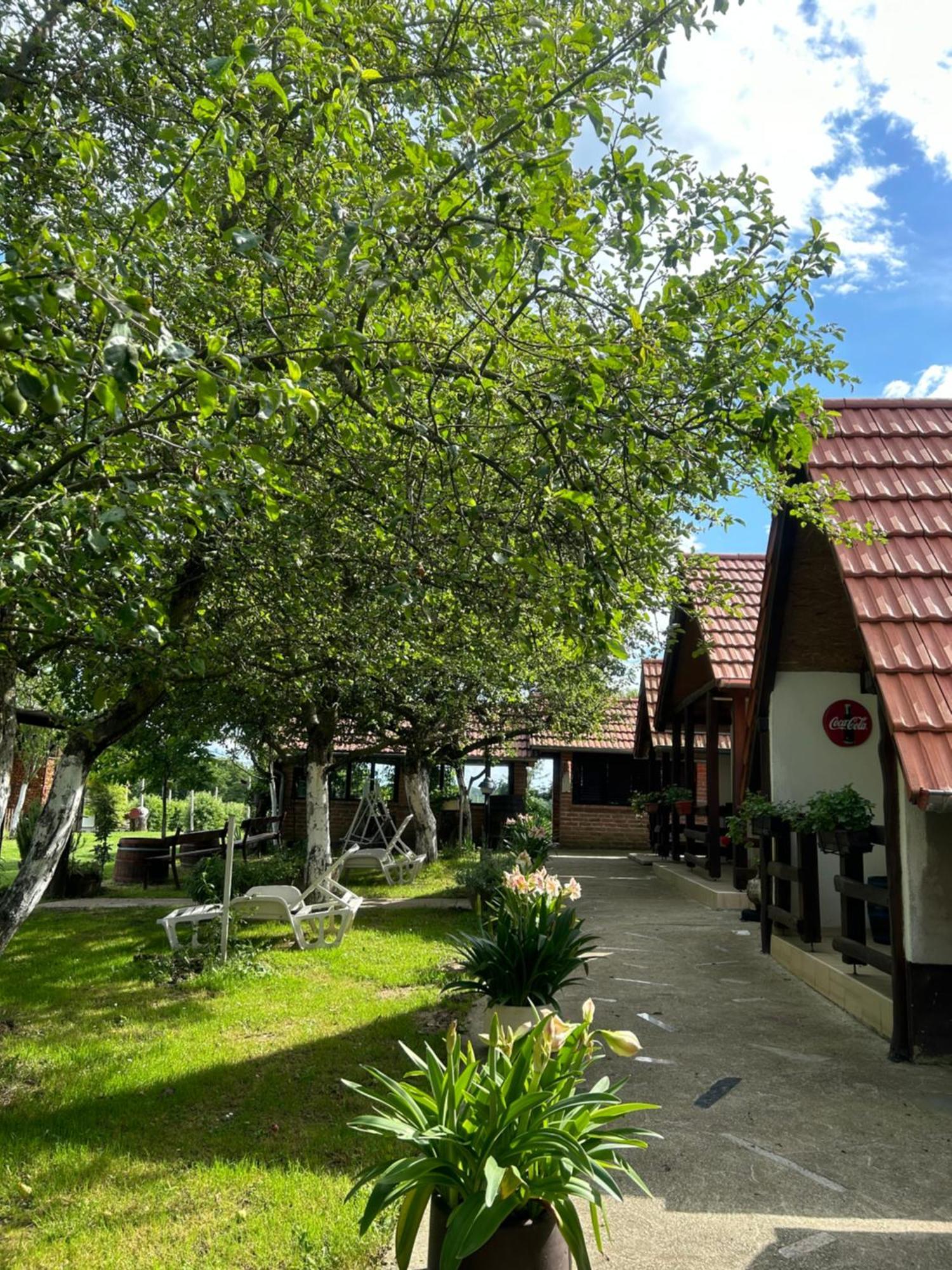 Camping Lukac Кутина Экстерьер фото